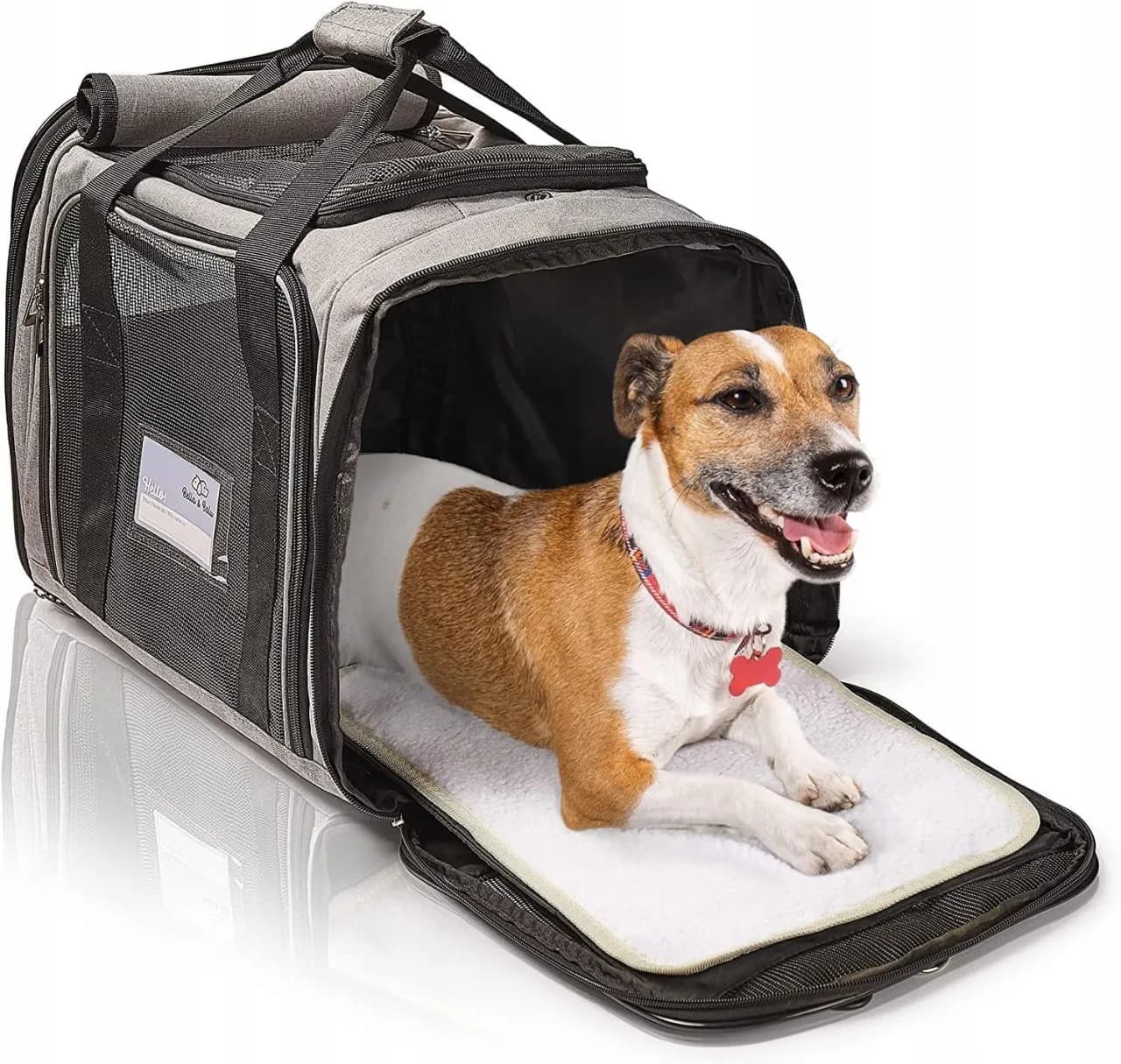 Najlepsze transportery dla psa do 10 kg – komfort i bezpieczeństwo w podróży