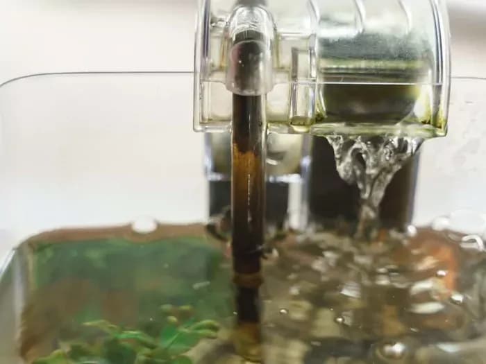 Napowietrzanie wody w terrarium