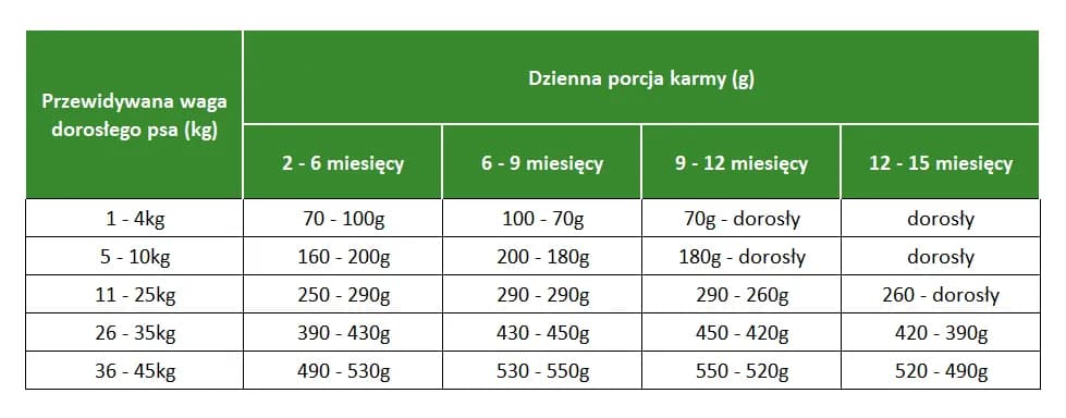 Co powinny jeść szczeniaki husky? Dieta, składniki i częstotliwość karmienia