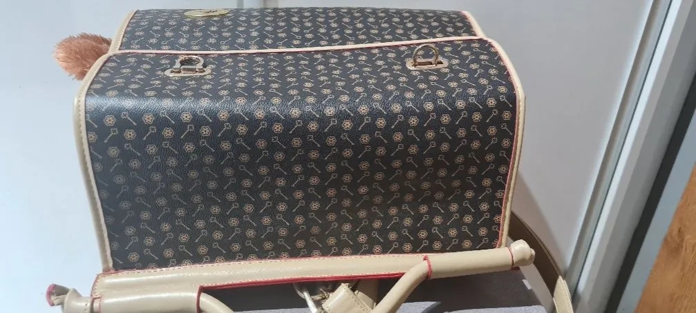 Luksusowy transporter dla psa Louis Vuitton - komfort i elegancja