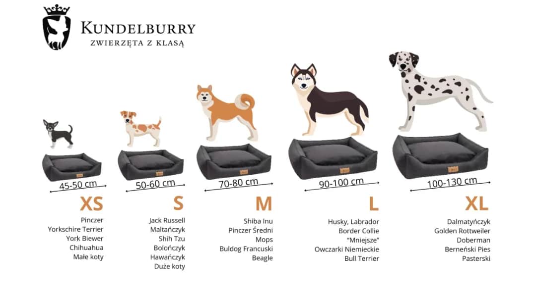 Jakie legowisko dla psa wybrać, aby zapewnić mu komfort i zdrowie?