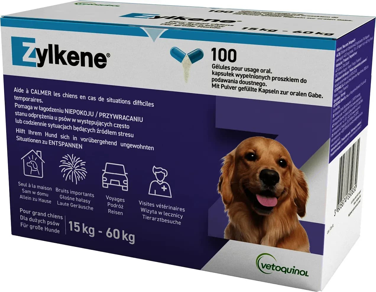 Tabletki na stres dla psa - skuteczne środki uspokajające