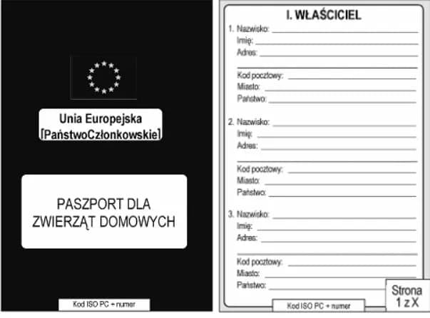 Ile kosztuje paszport dla kota w 2025: kompletny cennik i wymogi