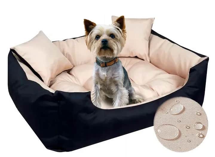 Jak wybrać idealne legowisko dla yorka, które zapewni mu komfort i bezpieczeństwo