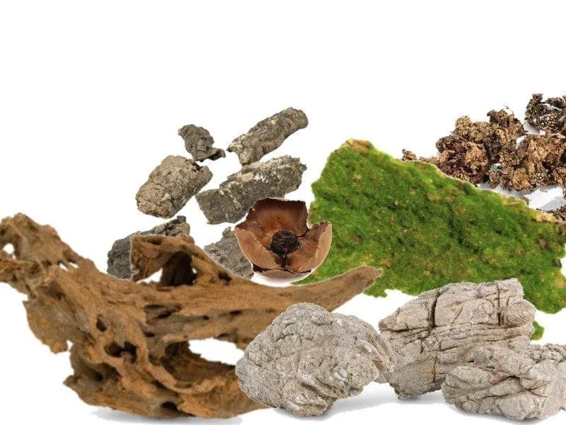 Wystrój terrarium: dekoracje i ozdoby do terrarium