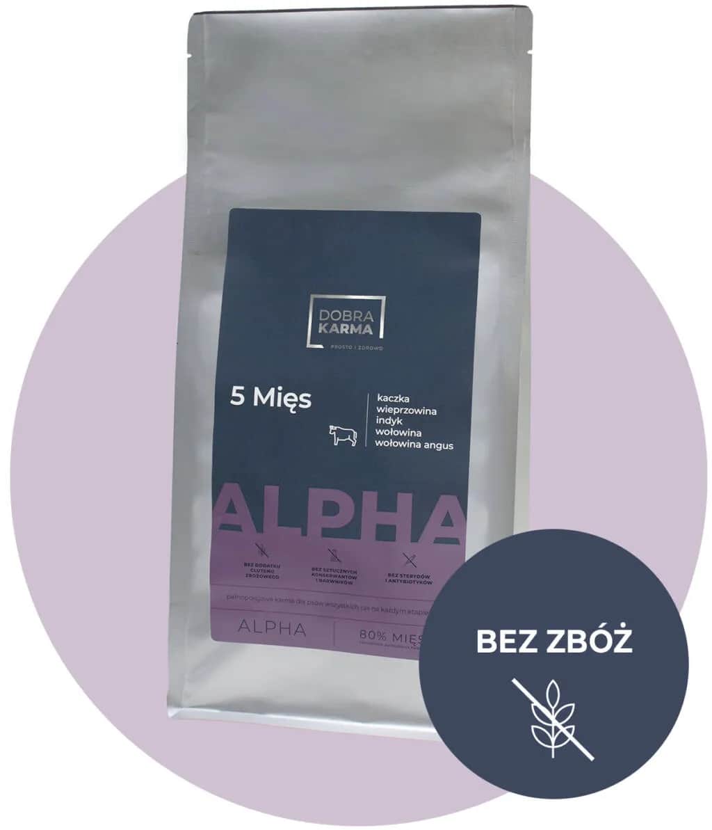 Najlepsza karma dla husky – uniknij błędów w diecie swojego psa