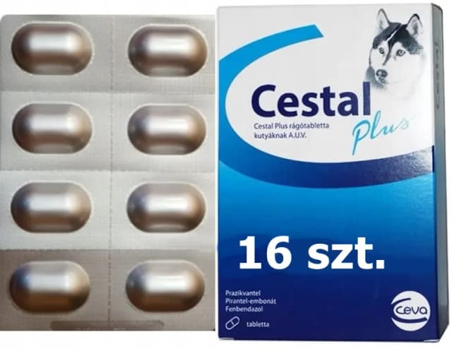 Ile kosztują tabletki na odrobaczanie psa? Ceny, które zaskoczą właścicieli