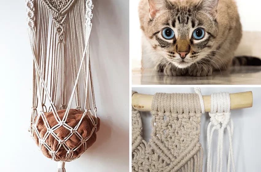 Jak zrobić hamak dla kota w 5 prostych krokach - poradnik krok po kroku
