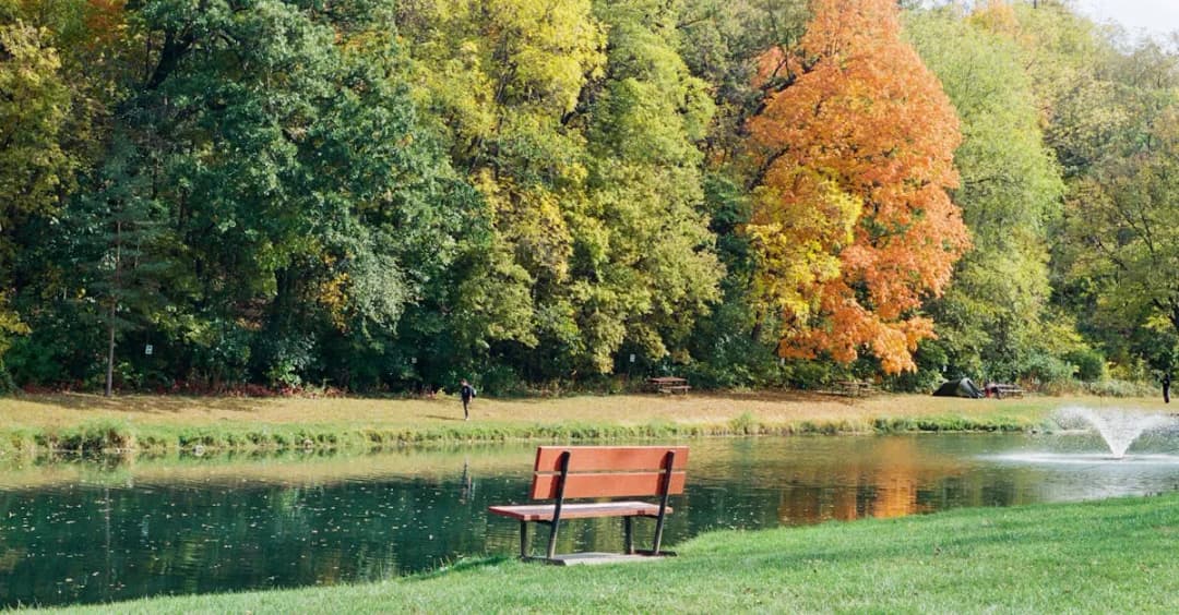 Dlaczego filmy o gadach zmieniają naszą percepcję?