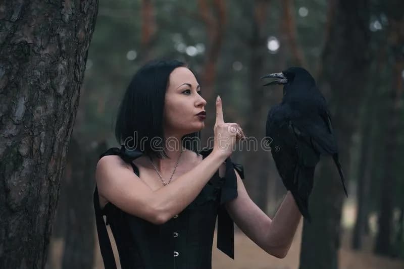 Skuteczna tresura kruka w domu: kompletny poradnik dla początkujących