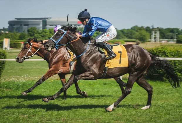 Zakłady na wyścigi konne vs kasyno online, gdzie bardziej opłaca się grać?