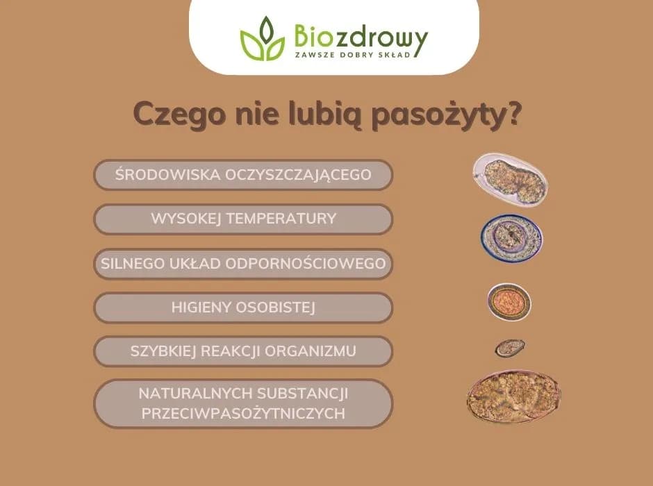 Skuteczne metody odrobaczania: co na odrobaczanie organizmu?