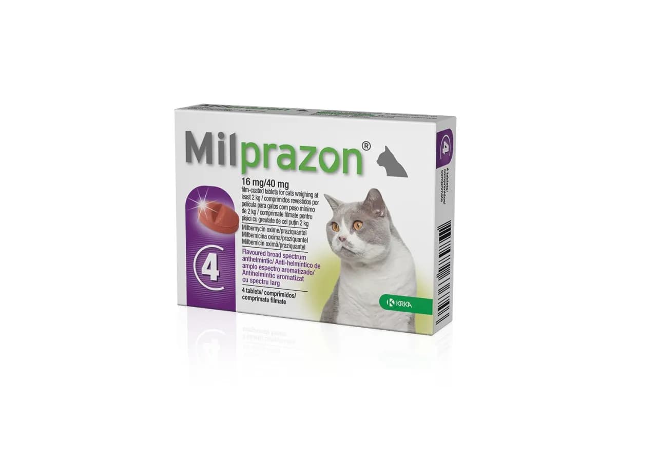 Gdzie kupić milprazon dla kota: najlepsze apteki i ceny na rynku