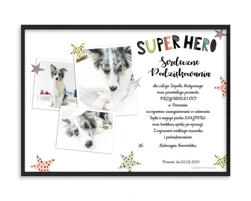 Jak napisać podziękowanie dla weterynarza, które wzruszy i doceni jego pracę