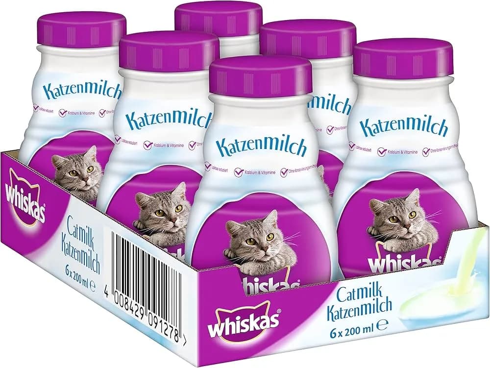 Jakie mleko dla kota będzie bezpieczne: najlepsze i szkodliwe rodzaje