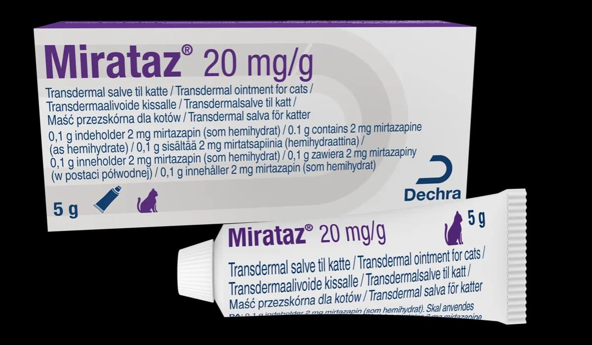 Gdzie kupić Mirataz dla kota: kompletny poradnik o dostępności i cenach