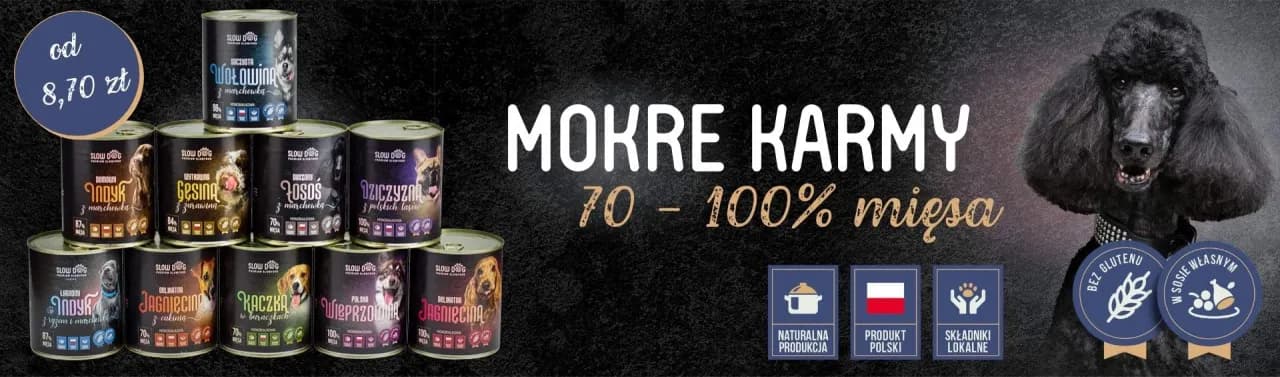 Karma dla kotów z belgijskich manufaktur: najwyższa jakość dla Twojego pupila