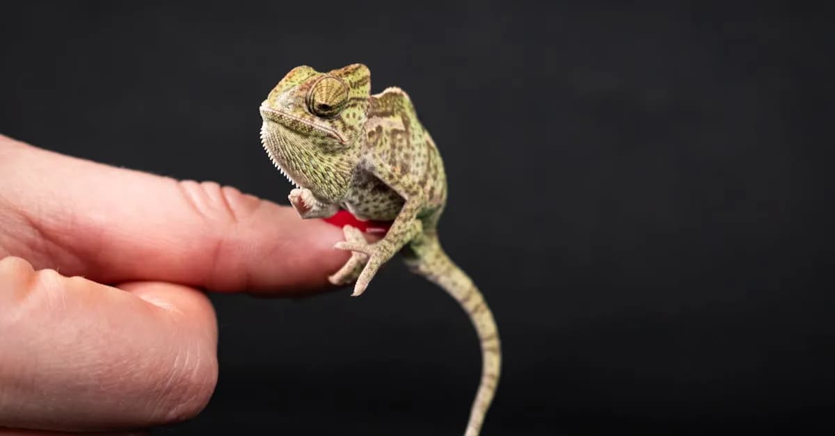 Jak filmy zmieniły nasze podejście do gadów domowych?