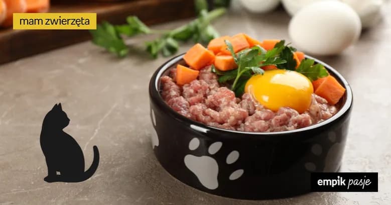 Gdzie kupić karmę barf dla kota - najlepsze sklepy i porady zakupowe