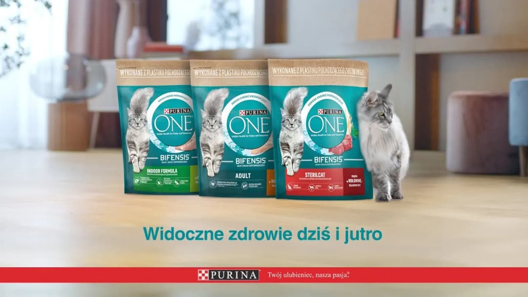 Purina jako karma dla kota: poznaj prawdę o jakości i składzie karmy