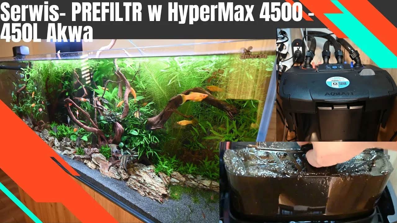 Konserwacja filtrów w terrarium