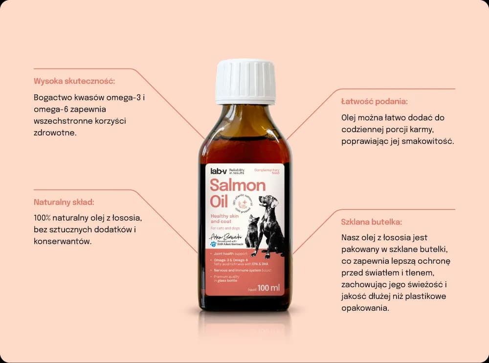 Olej z łososia dla kota: 5 kluczowych korzyści dla zdrowia pupila